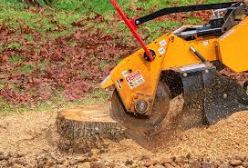 Soil Testing and Treatment in Athens, PA